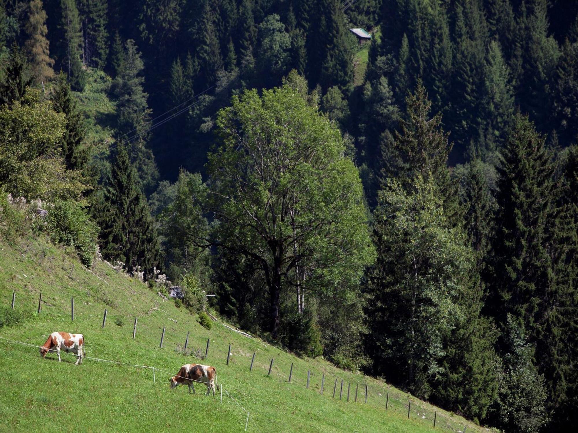 Apartment In Sankt Johann Im Pongau Near Ski Area Wagrain Εξωτερικό φωτογραφία